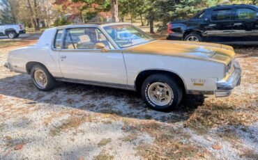 Oldsmobile-442-1980-2