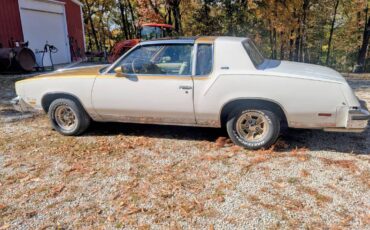 Oldsmobile-442-1980-3