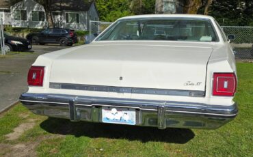 Oldsmobile-88-1976-white-2