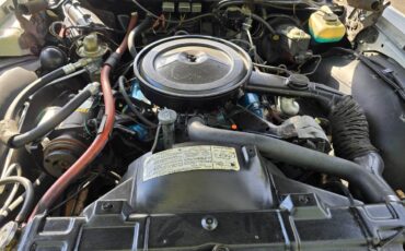 Oldsmobile-88-1976-white-4