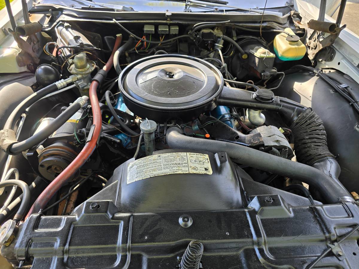 Oldsmobile-88-1976-white-4