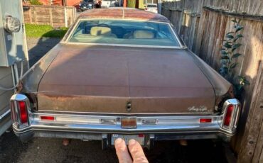 Oldsmobile-98-1973-brown-2