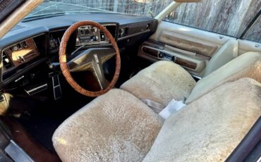 Oldsmobile-98-1973-brown-3