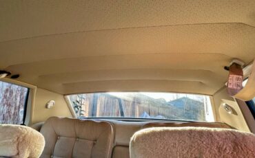 Oldsmobile-98-1973-brown-7