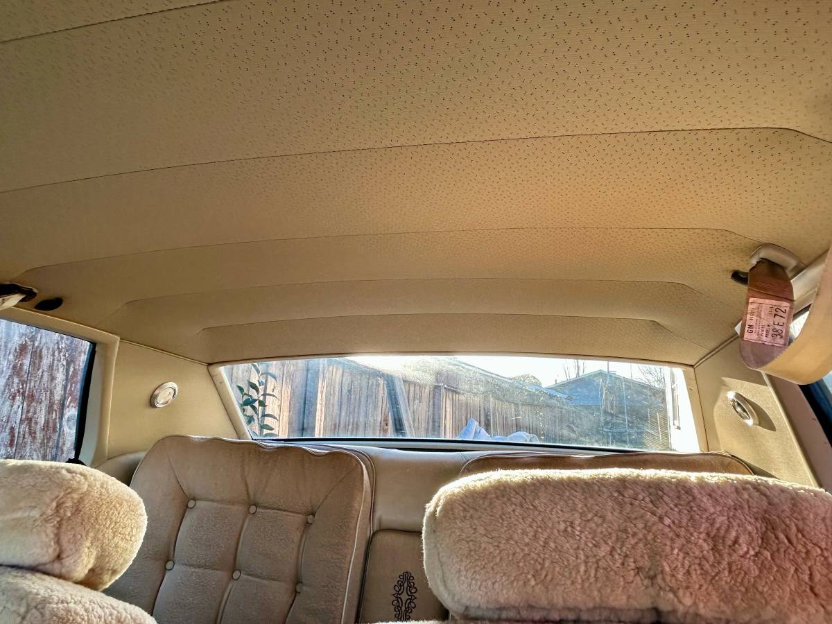 Oldsmobile-98-1973-brown-7