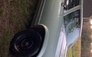 Oldsmobile-98-1978-green