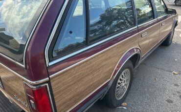 Oldsmobile-Custom-Cruiser-1989-Wagon-10