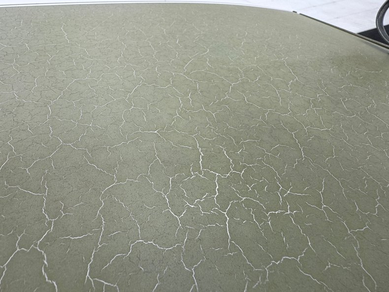 Oldsmobile-Cutlass-1973-Cameo-White-White-32