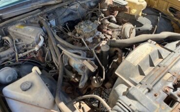 Oldsmobile-Cutlass-1979-2-DOOR-HARDTOP-10