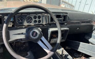 Oldsmobile-Cutlass-1979-2-DOOR-HARDTOP-6