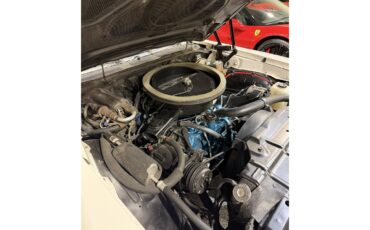 Oldsmobile-Cutlass-supreme-1972-White-Black-19