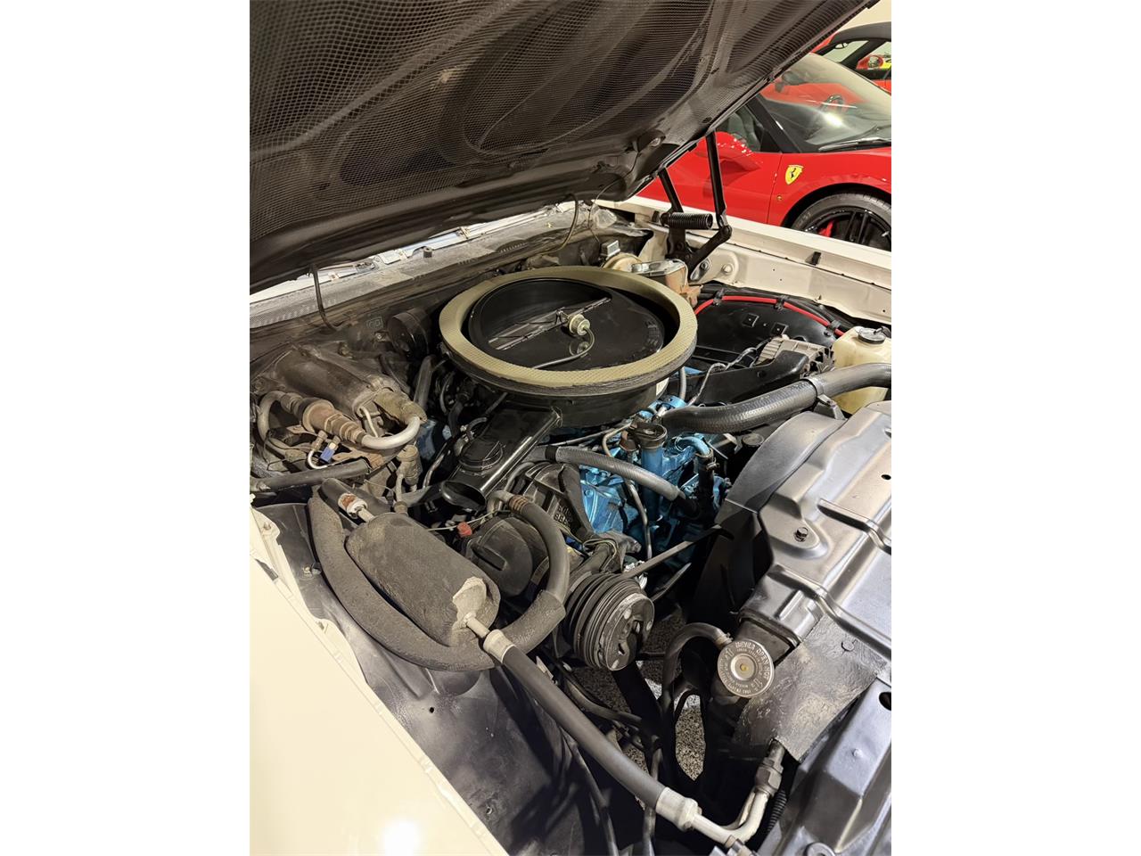 Oldsmobile-Cutlass-supreme-1972-White-Black-25