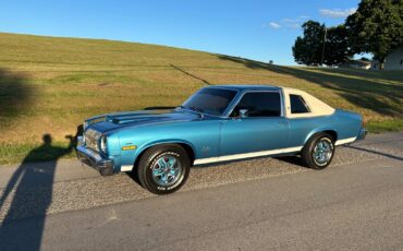 Oldsmobile-Omega-1975-Coupe-15