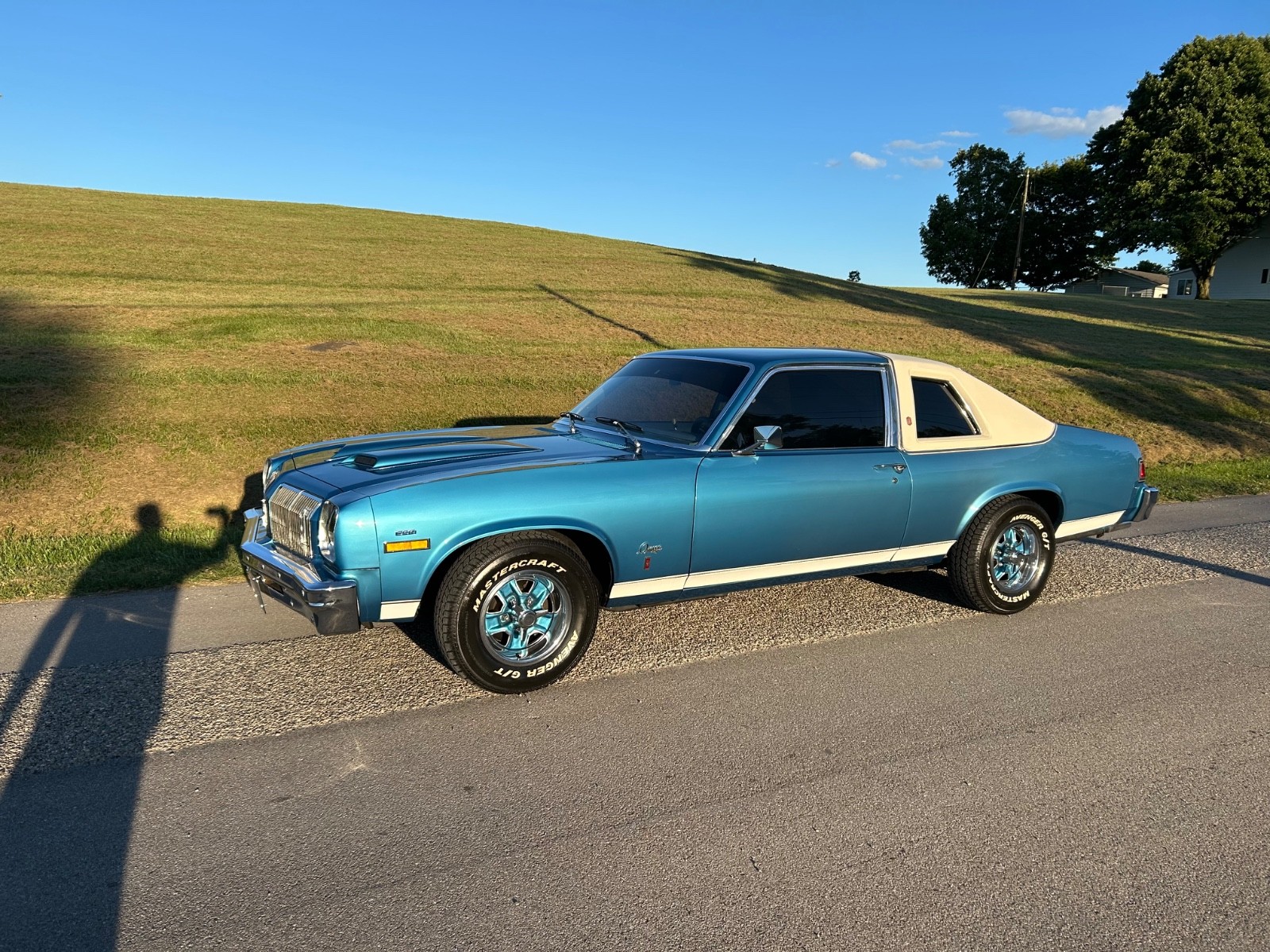 Oldsmobile-Omega-1975-Coupe-15