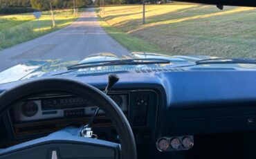 Oldsmobile-Omega-1975-Coupe-16