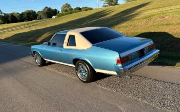Oldsmobile-Omega-1975-Coupe-19