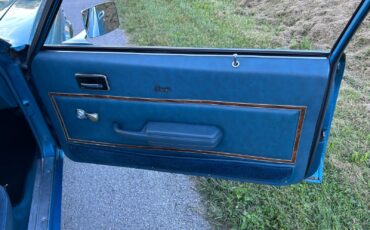 Oldsmobile-Omega-1975-Coupe-24