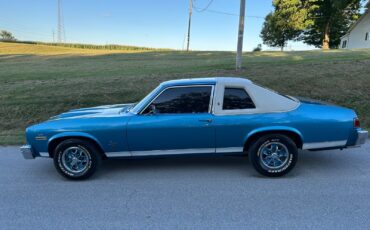 Oldsmobile-Omega-1975-Coupe-33