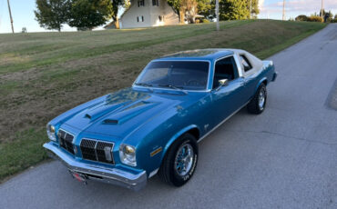 Oldsmobile-Omega-1975-Coupe-37