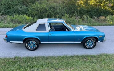 Oldsmobile-Omega-1975-Coupe-4