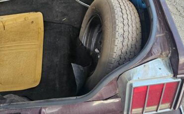 Oldsmobile-cutlass-1980-purple-10