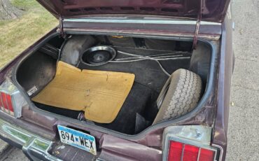 Oldsmobile-cutlass-1980-purple-9