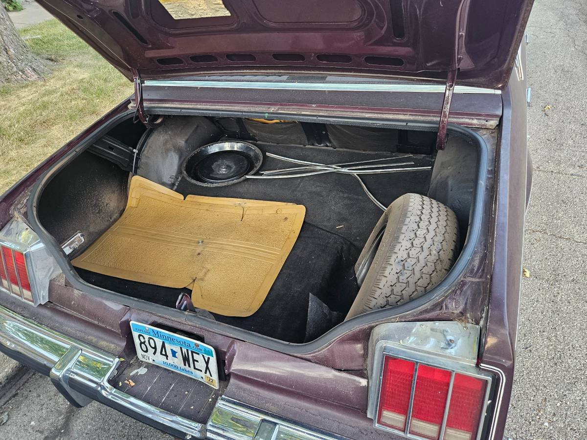 Oldsmobile-cutlass-1980-purple-9