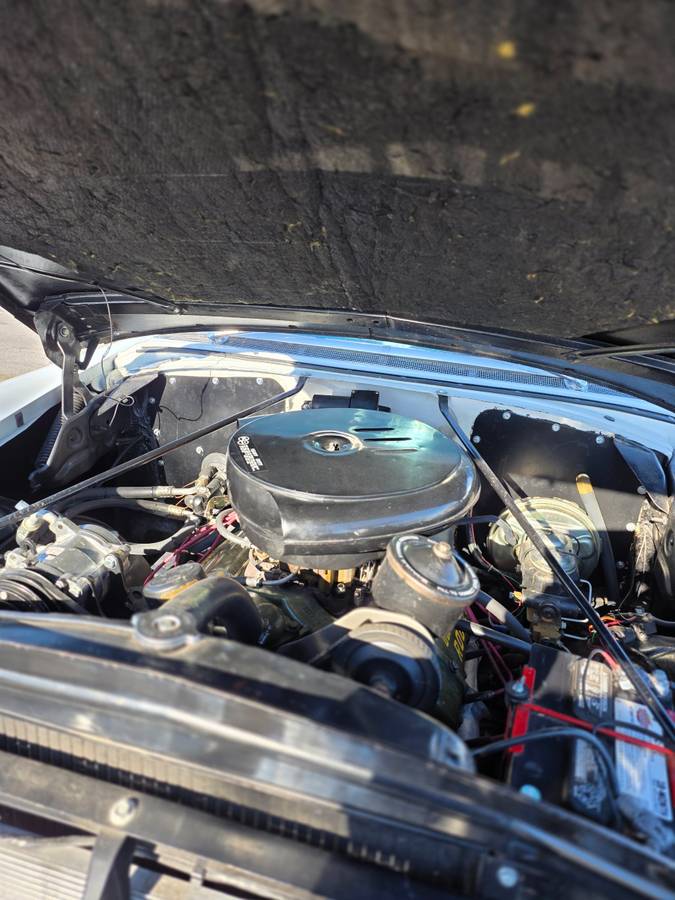 Oldsmobile-super-88-1955-10