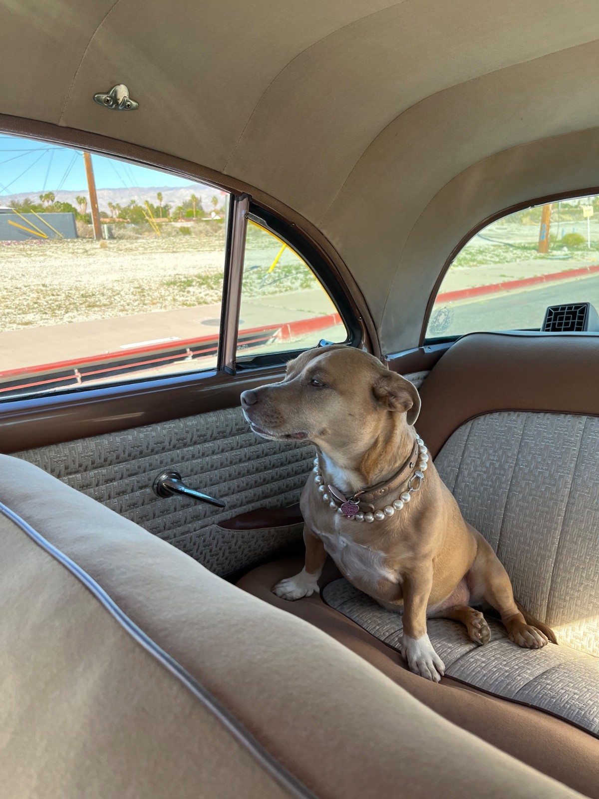 Packard-Patrician-1955-Sedan-6