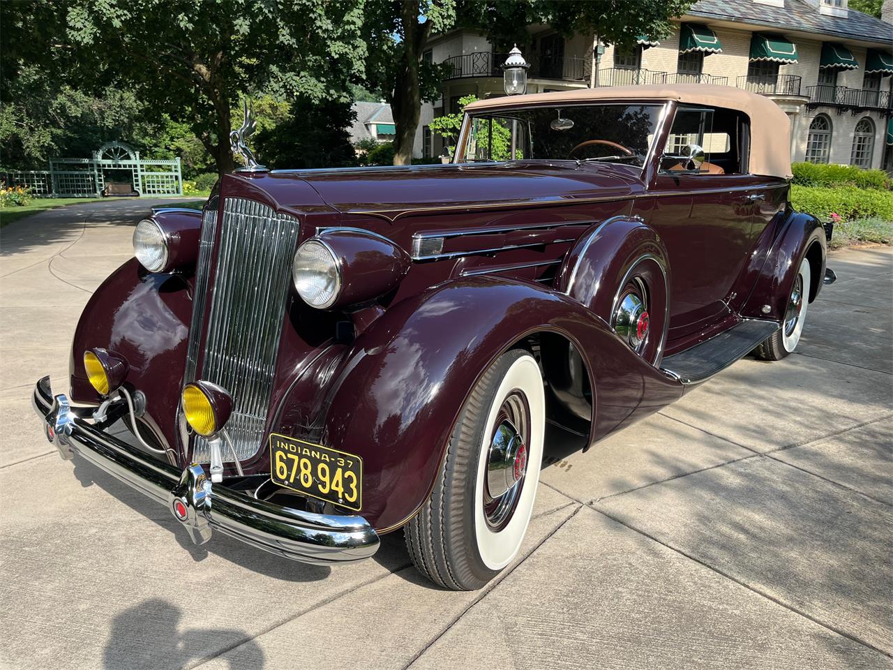 Packard-Twelve-1937-Packard-Maroon-Brown-17