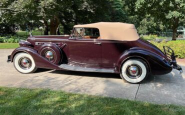 Packard-Twelve-1937-Packard-Maroon-Brown-33