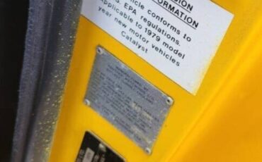 Panther-1979-Convertible-10