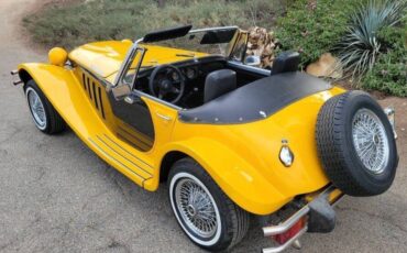 Panther-1979-Convertible-4