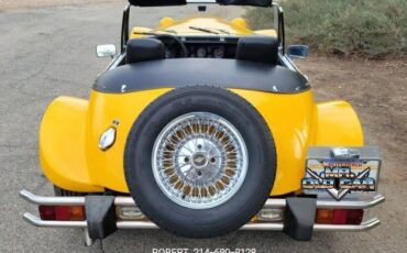 Panther-1979-Convertible-5