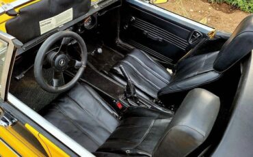 Panther-1979-Convertible-6