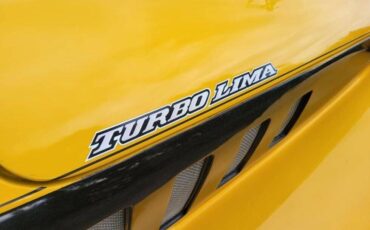 Panther-1979-Convertible-8