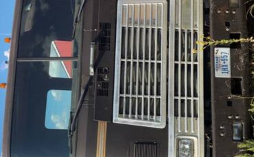 Peterbilt-diesel-1980-brown-4