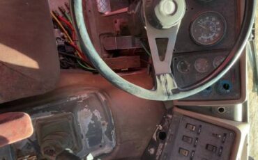 Peterbilt-diesel-1980-brown-6