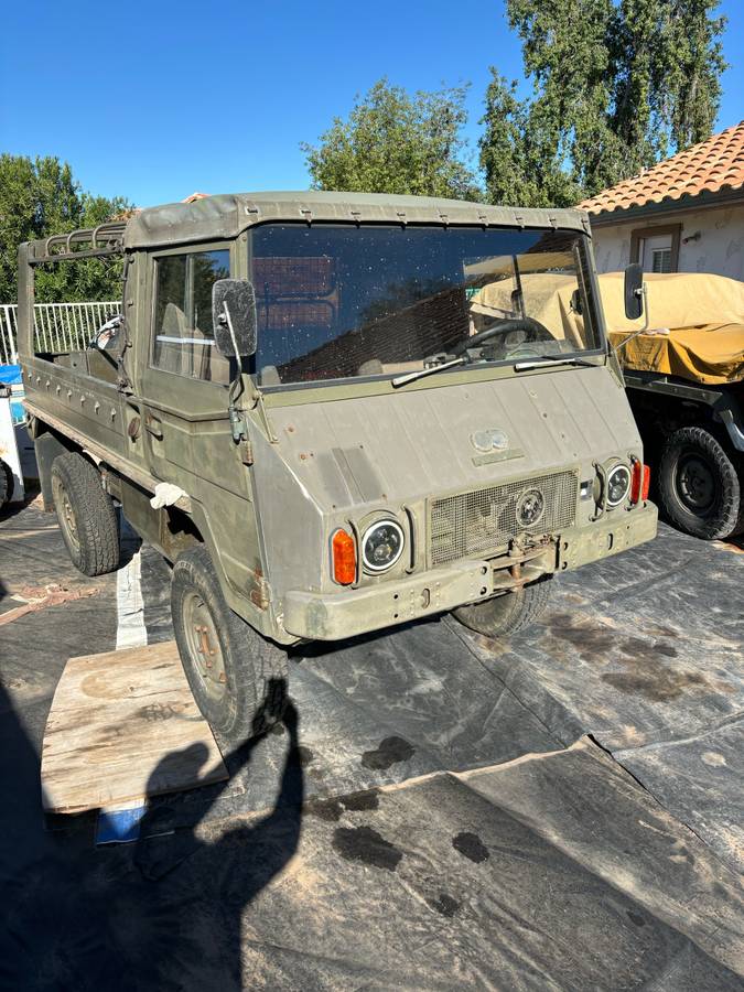 Pinzgauer-1974-green-8