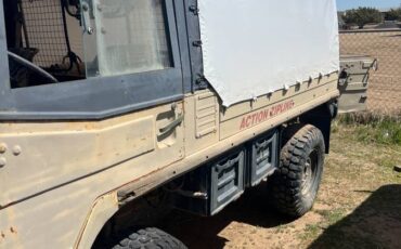 Pinzgauer-710m-1972-5