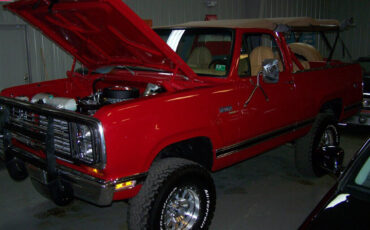 Plymouth-Trail-Duster-1979-SUV-15