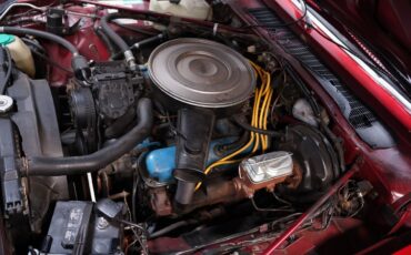 Plymouth-Volare-1976-Coupe-27