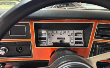 Plymouth-Volare-1977-36