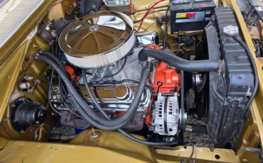 Plymouth-gold-duster-1973-brown-11