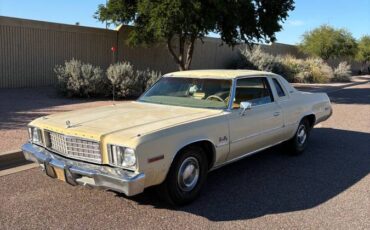 Plymouth-gran-fury-1977-yellow-11
