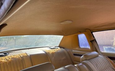 Plymouth-gran-fury-1977-yellow-4