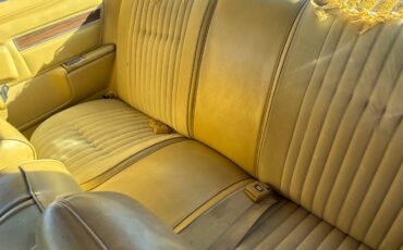 Plymouth-gran-fury-1977-yellow-5