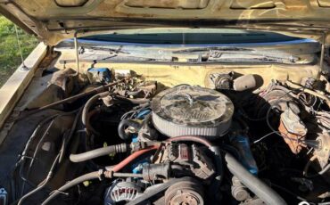 Plymouth-gran-fury-1977-yellow-7