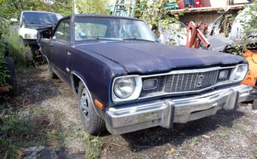 Plymouth-svamp-1975-blue-1