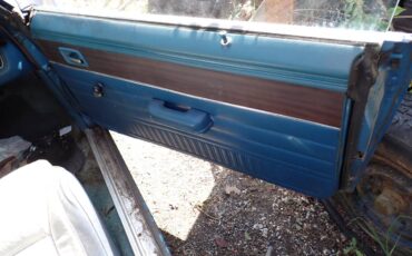 Plymouth-svamp-1975-blue-10